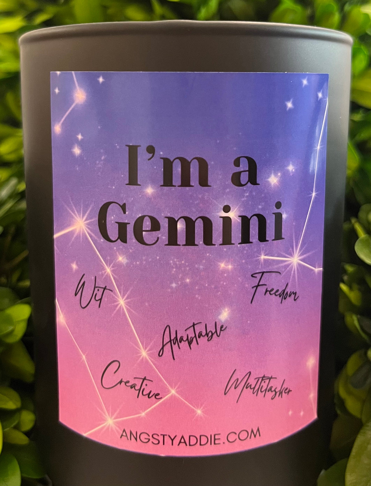 Angsty Addie - Gemini 14oz Candle - Cactus Flower & Aloe