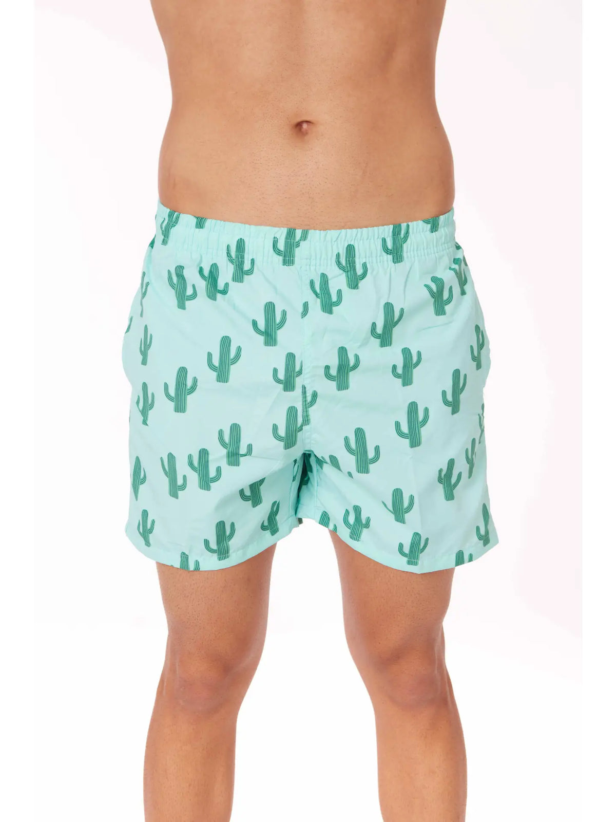 Hawk's Bay - Cactus Board Shorts Swimming Trunks