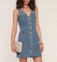 Heartloom Tanela Dress
