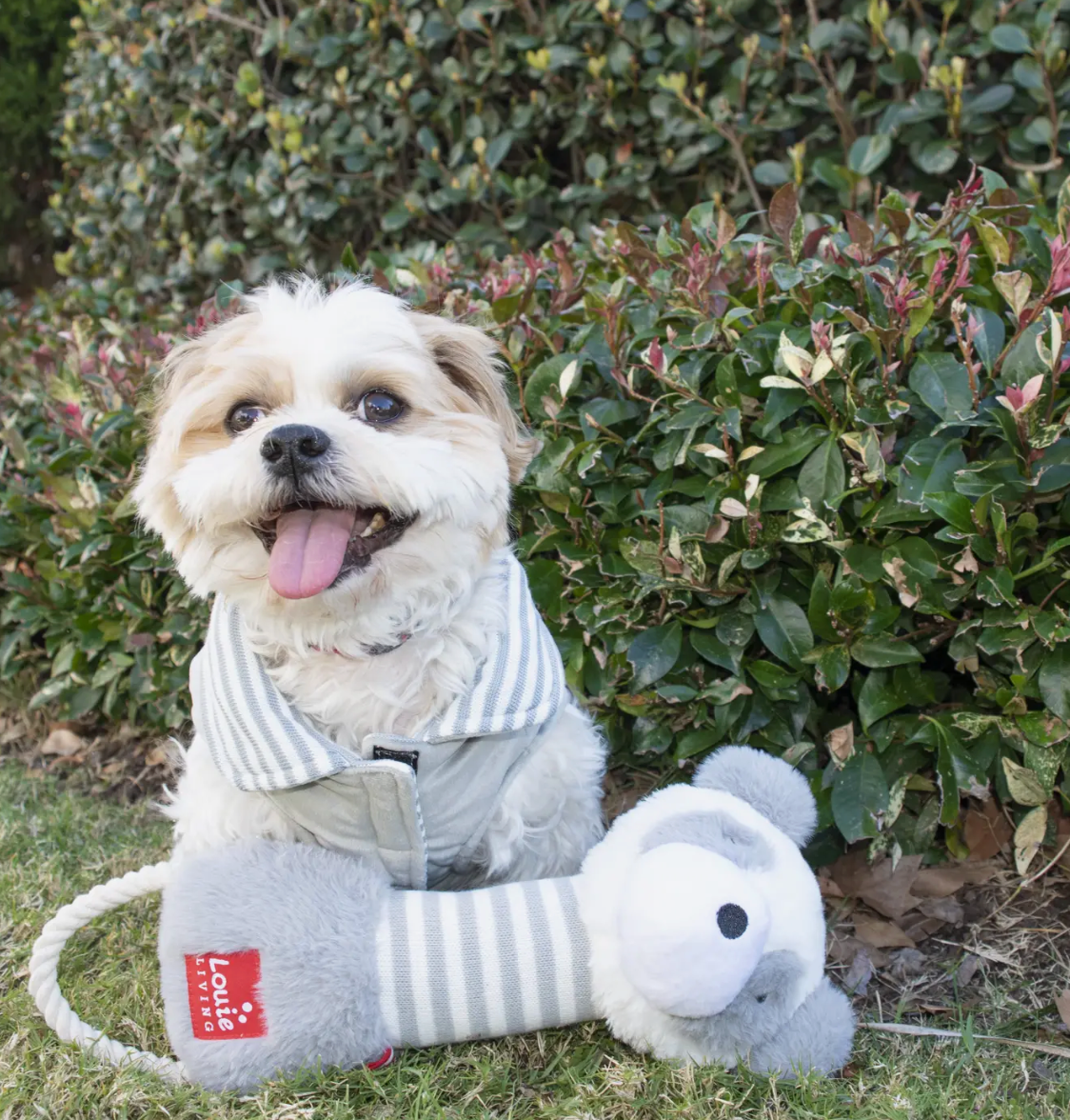 Pozo the Panda Dog Toy Louie Living