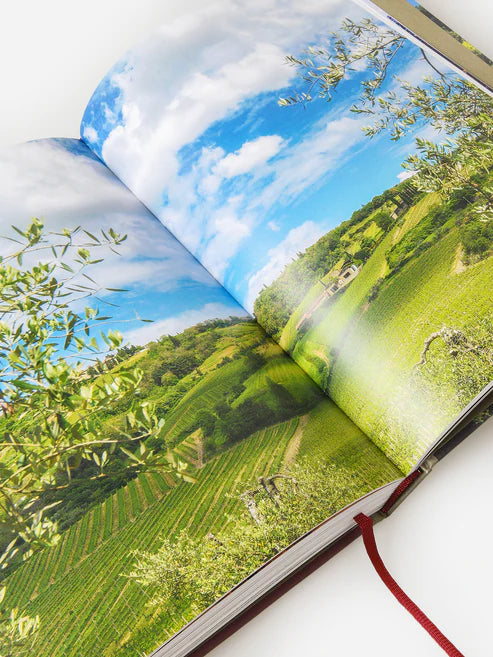 Open Page of the book 150 vineyards to Visit Before You Die