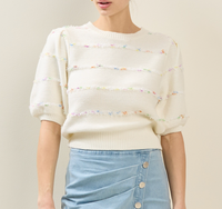 Multi Stripe Short Sleeve Sweater Top