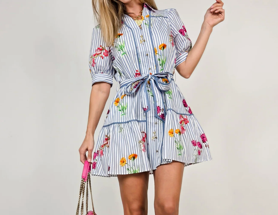 Blue Striped Floral Mini Dress