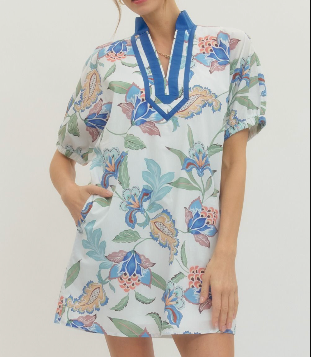 Floral Print Puff Sleeve Mini Dress