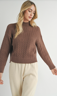 Sadie & Sage Liss Turtle Neck Sweater Brown