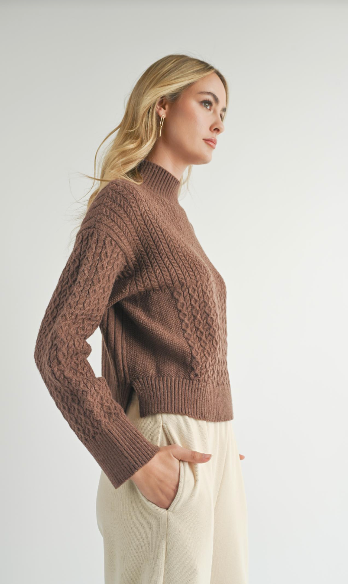 Sadie & Sage Liss Turtle Neck Sweater Brown