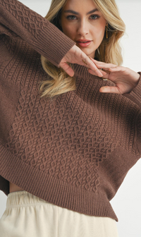 Sadie & Sage Liss Turtle Neck Sweater Brown