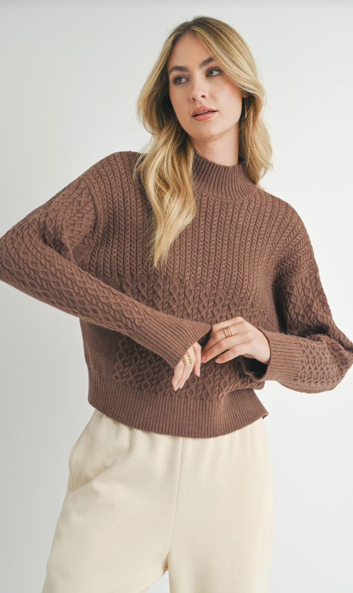 Sadie & Sage Liss Turtle Neck Sweater Brown