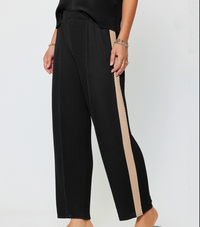 Pleated Tapered Pants W/Side Panels-Black/Taupe
