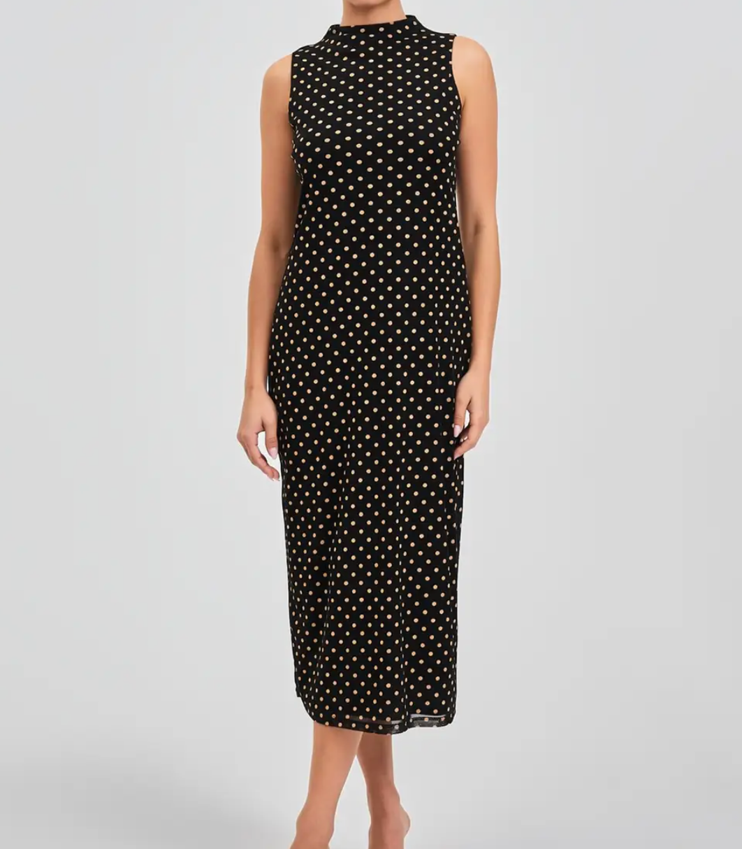 Polka Dot Mesh Dress