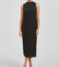 Polka Dot Mesh Dress