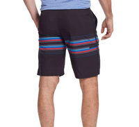 Flag and Anthem Rockaway Board Short 10 Inch