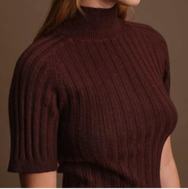 Oliver Turtleneck Knit Top