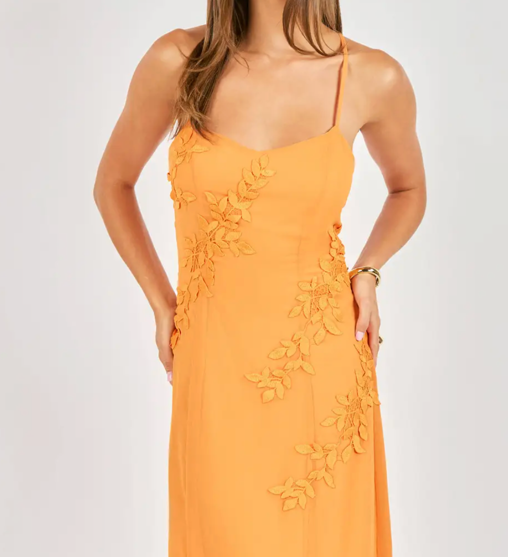 Prickly Petal Applique Midi Dress