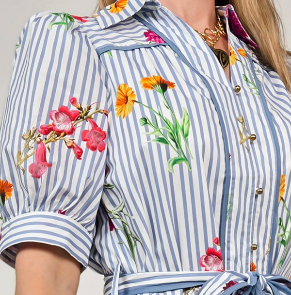 Blue Striped Floral Mini Dress