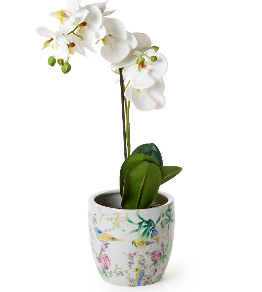 Bird & Blossom Chinoiserie Planter - Ceramic