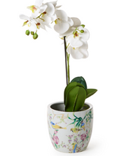 Bird & Blossom Chinoiserie Planter - Ceramic