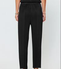 Pleated Tapered Pants W/Side Panels-Black/Taupe