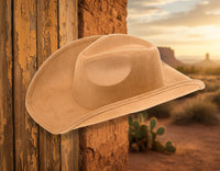 Camel cowboy hat on a western background