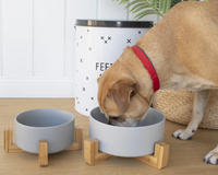 Ceramic Pet Bowl with Stand - Louie Living